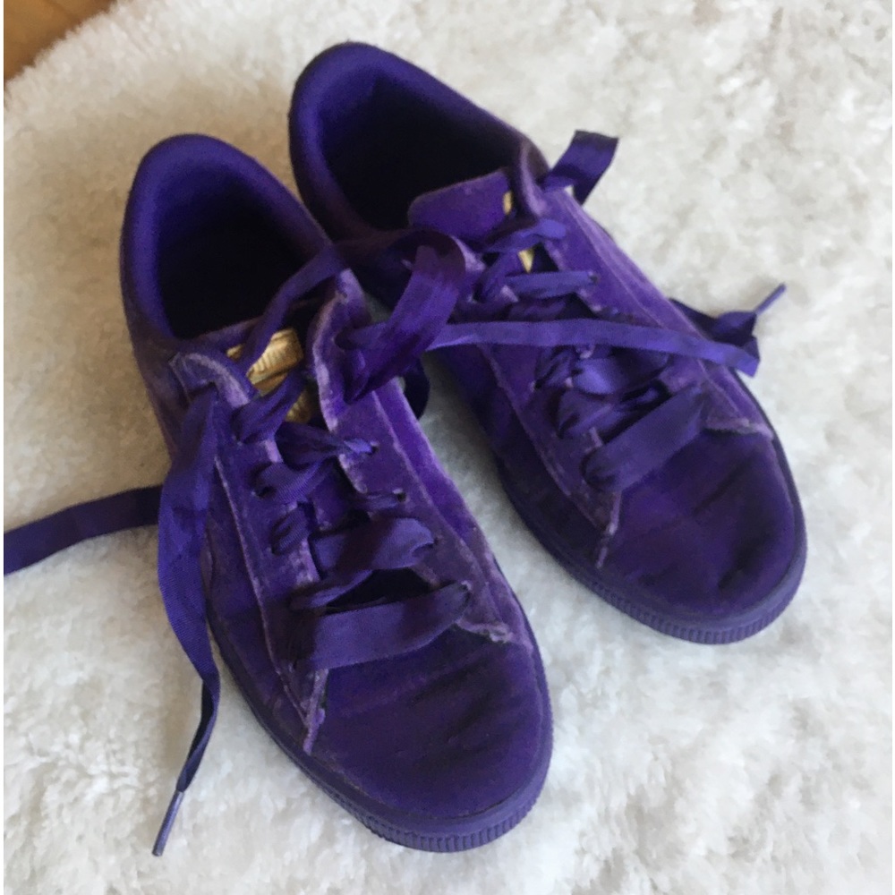Purple Puma Velvet